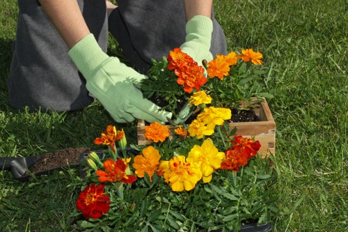 Reliable tree surgeon providing expert tree services in Havering