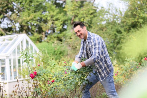 Overgrown hedge being cut back neatly in Havering