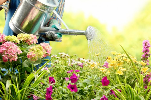 Professional tree care for homes and businesses across Havering