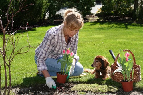 Woodchip and timber reuse from tree surgery operations