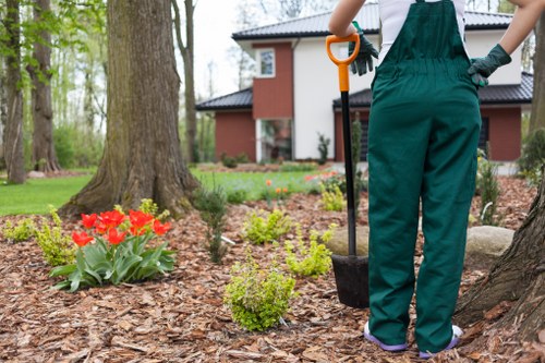 Transparent pricing and quote planning for tree surgery in Havering