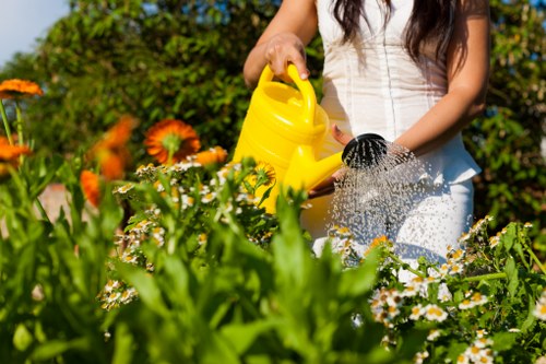 Local hedge maintenance for homes and landlords in Havering